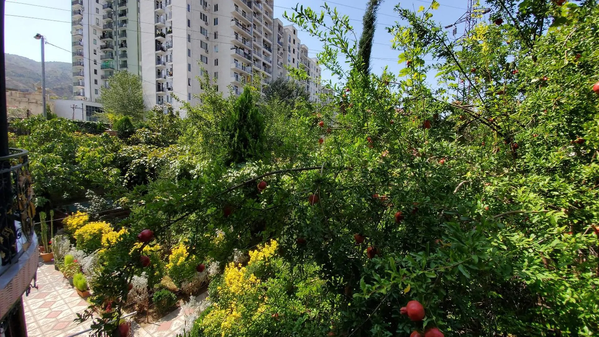 West Hotel Тбилиси 3*,  Грузия